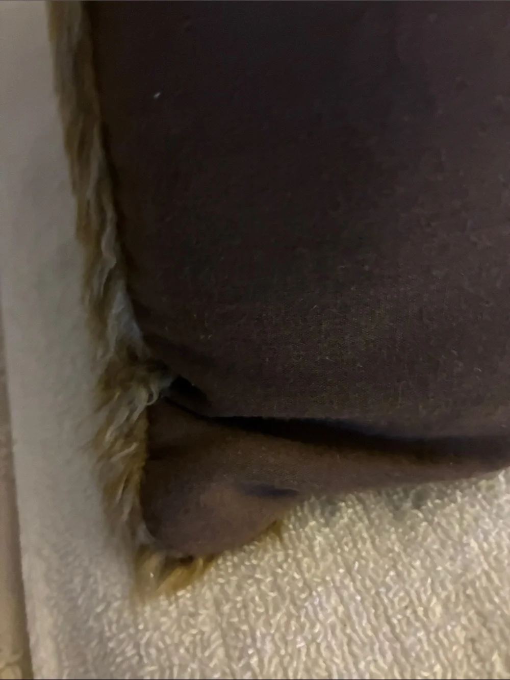 Vintage Cowboy Accent Pillow-Black, Brown Faux Fur Trim faux leather-
